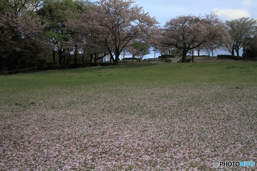 グラデーション