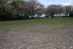 グラデーション