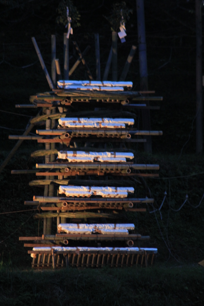 動乱蜂といいます