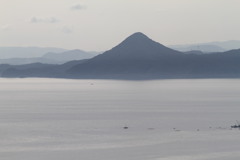 応募してみよう