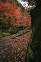 個人の別荘入口