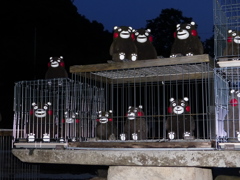 悪さは、しませんが