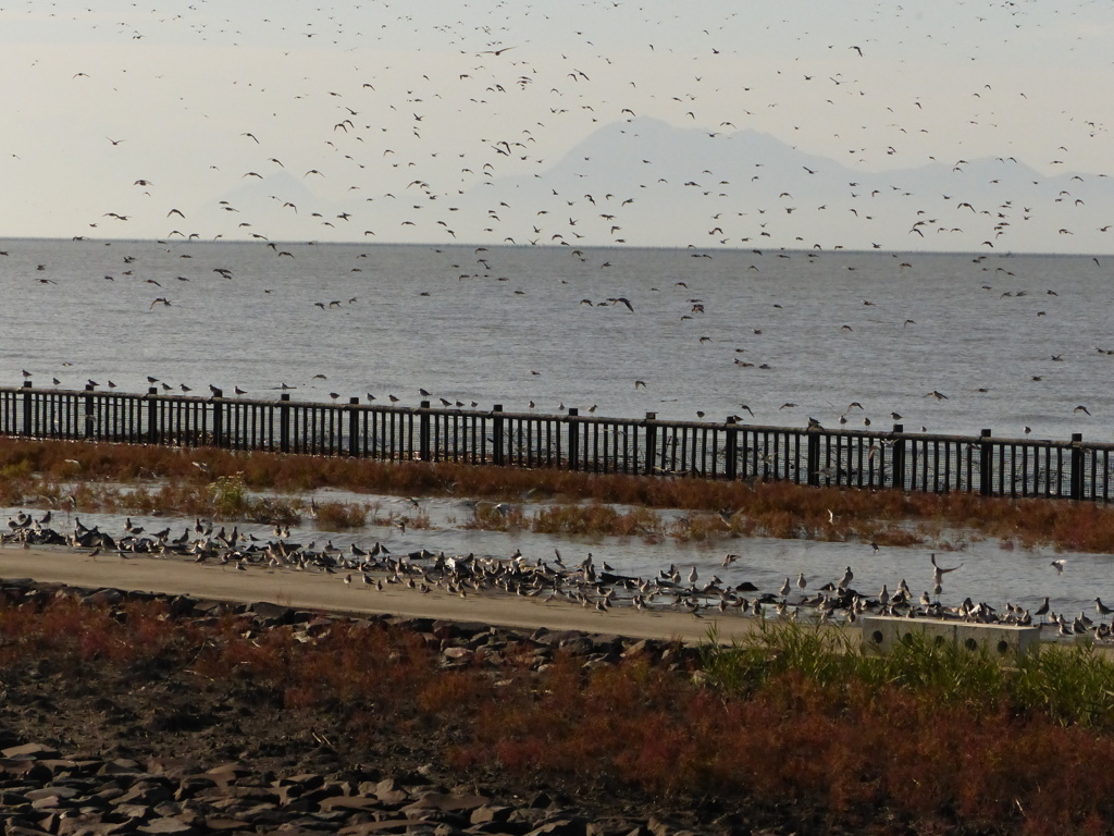 雲仙が見えるときれい