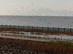 雲仙が見えるときれい