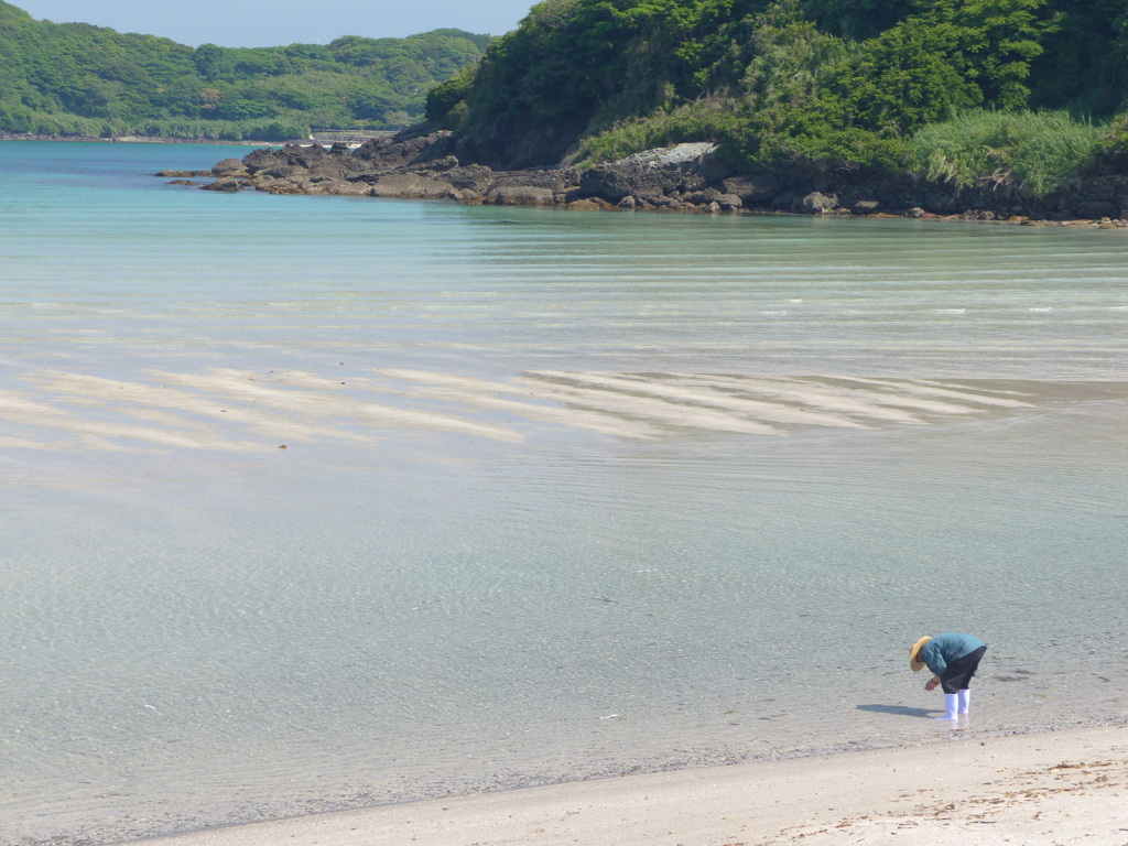おじさんいつも拾ってるでしょうね