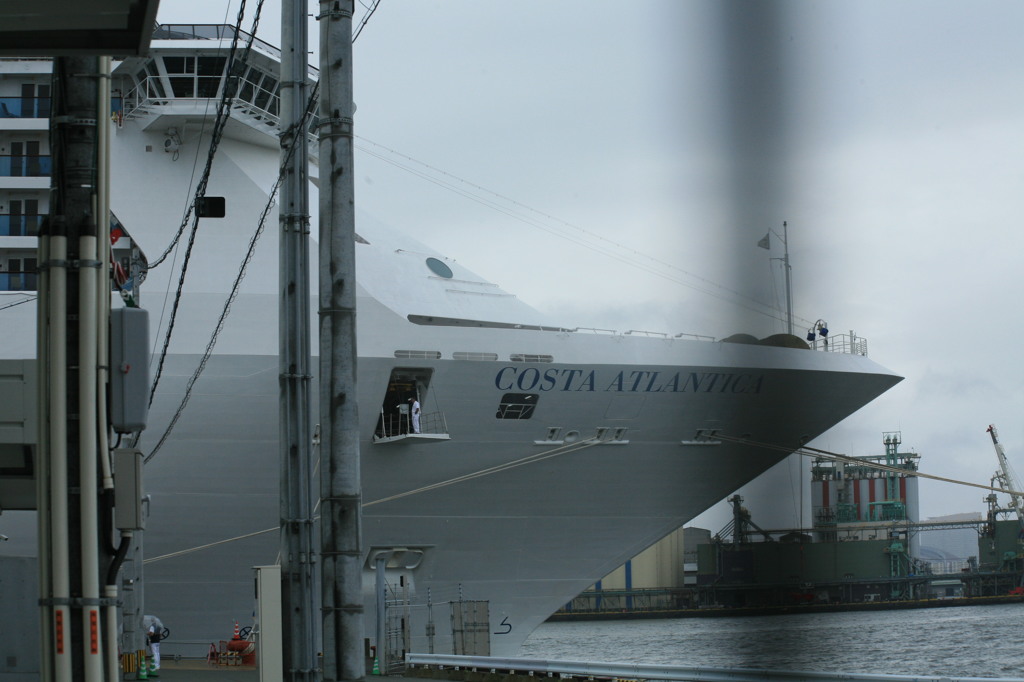 近くで見れない