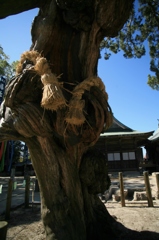 あのころは源さんも