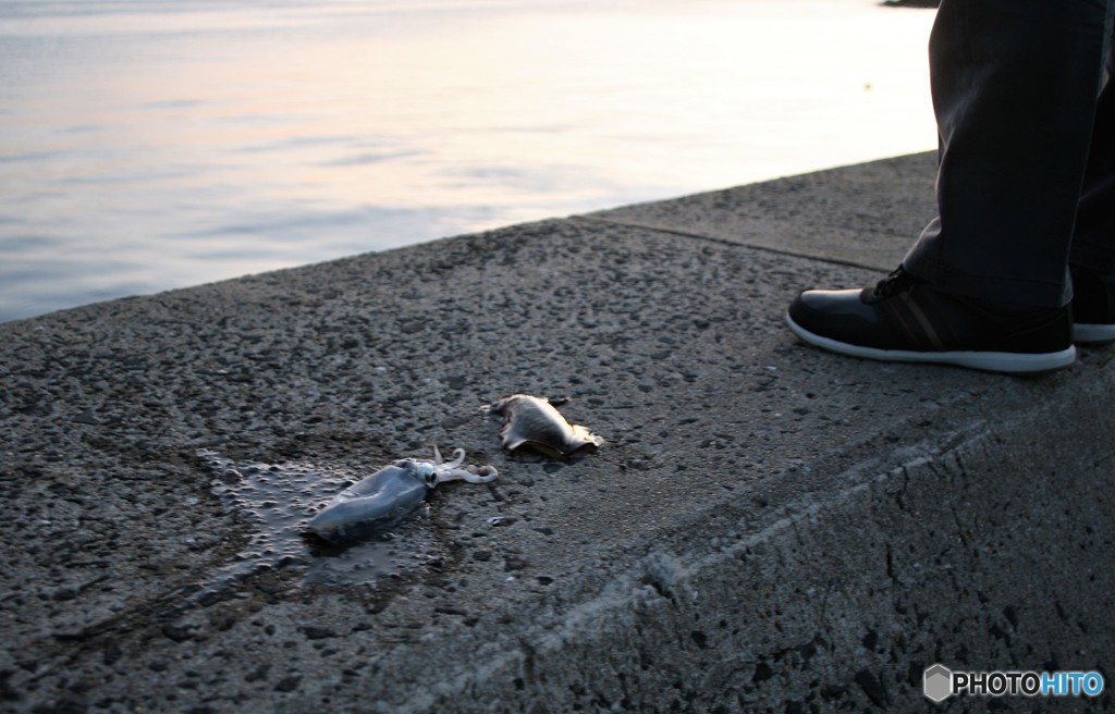 残念コロッケサイズ