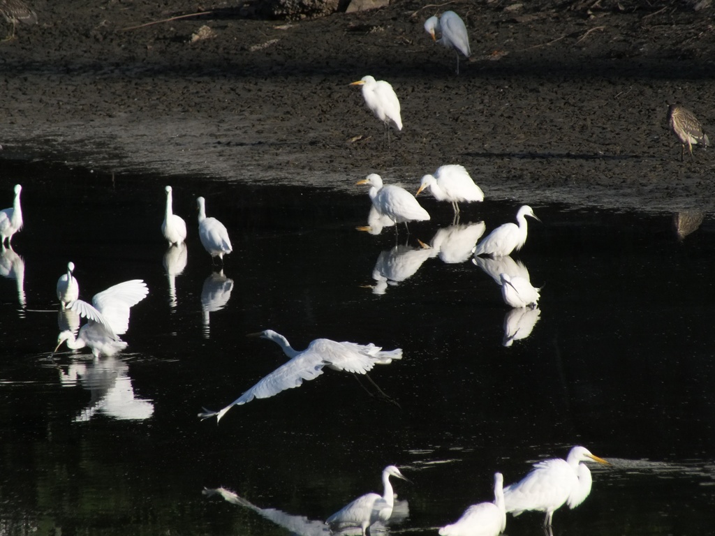 フジ３０EXR で昨年