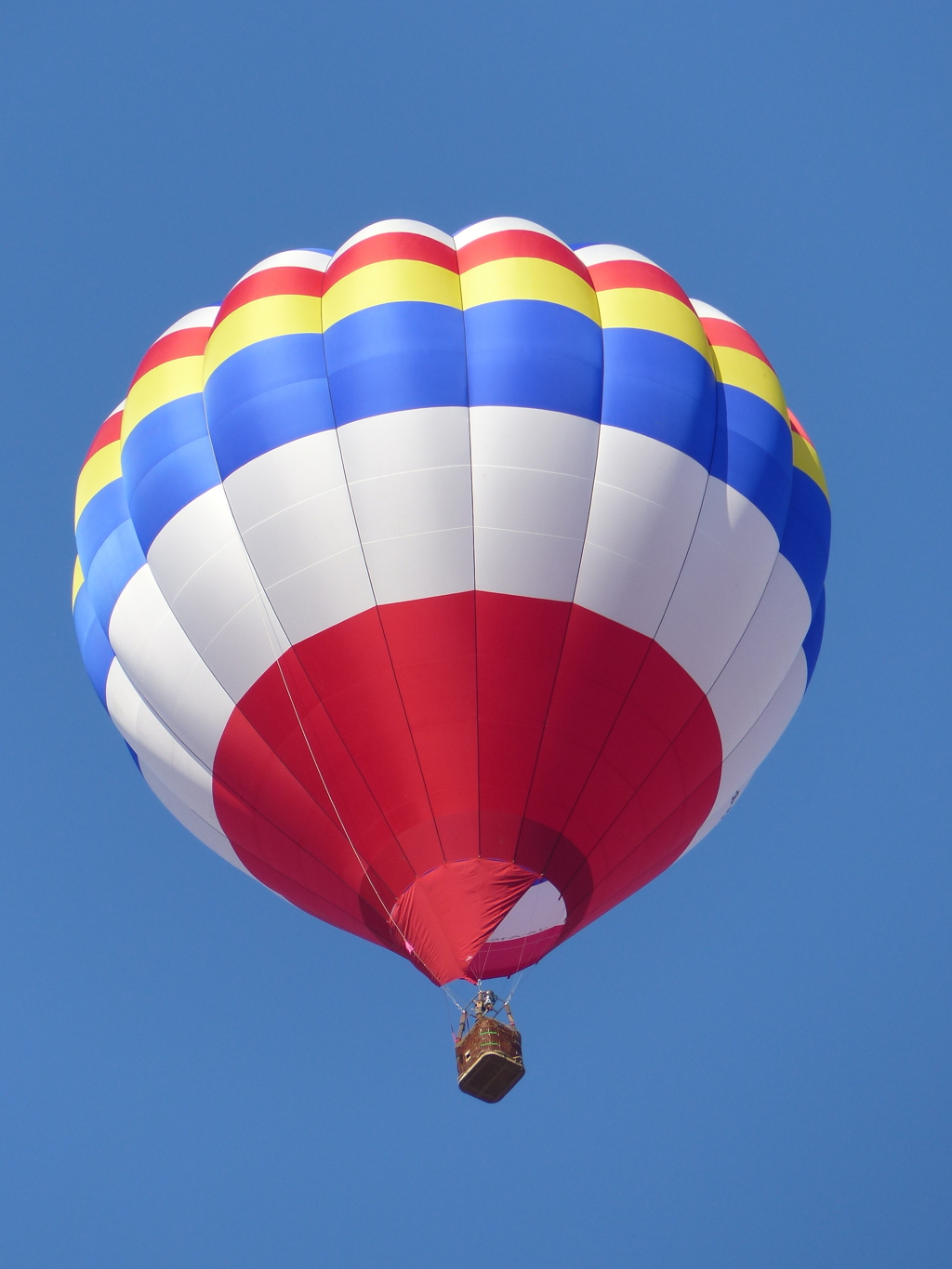 ワオ、お孫さんが