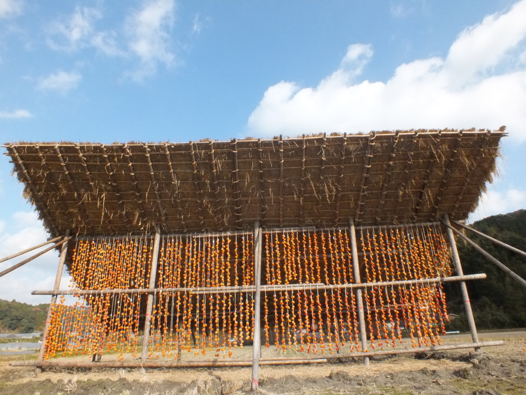 こんな感じです