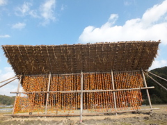 こんな感じです