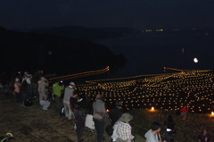 きれいに撮れたかな