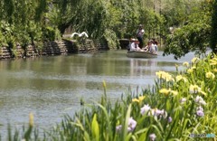 サギも、、、ようこそ