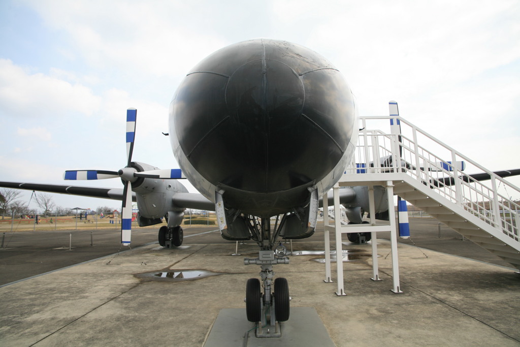 何回か乗ってます