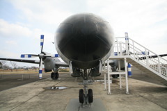 何回か乗ってます