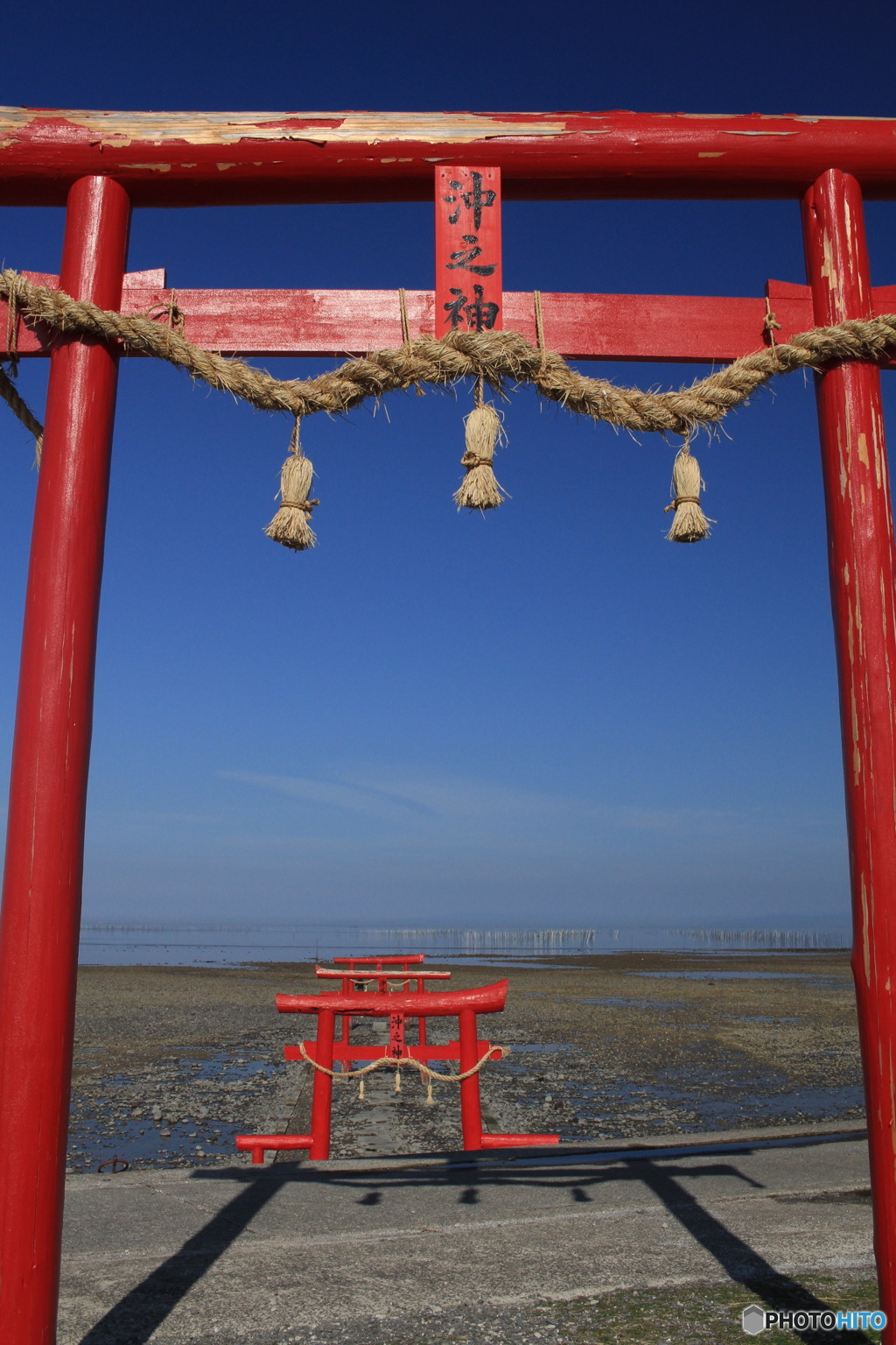 カメラ女子いっぱい