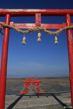 カメラ女子いっぱい