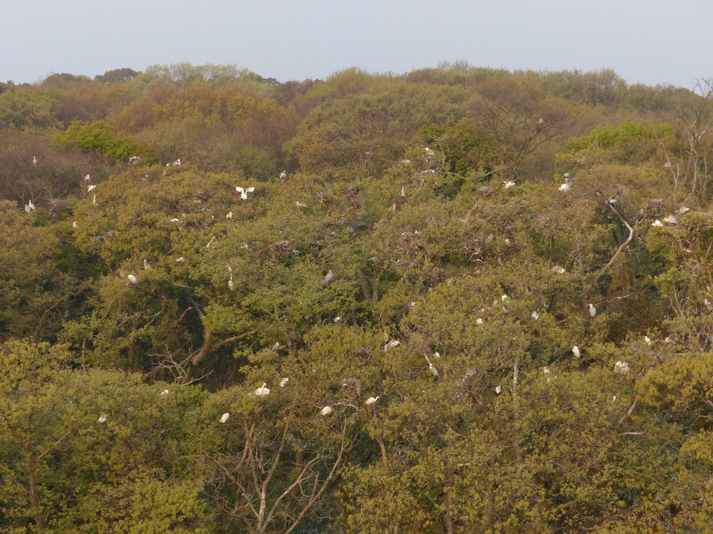 こんなとこですよ