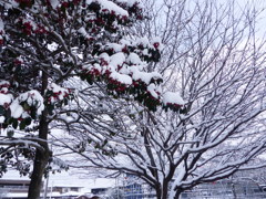 朝積もったのが解けません