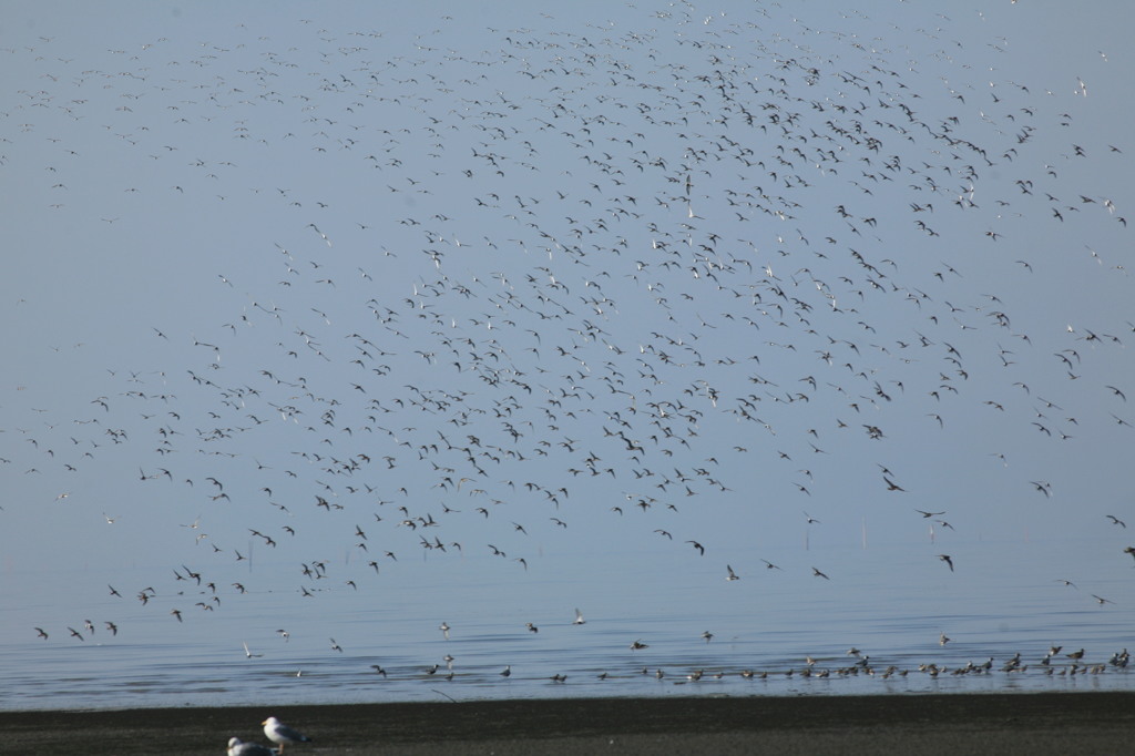 曇り空でしたが