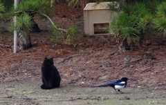 君は白さが目立つね