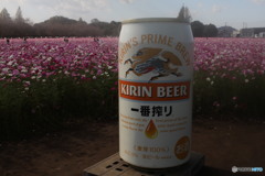 咲いとったよ