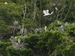 おおきくなったなあ