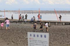 ムツゴロウ体験