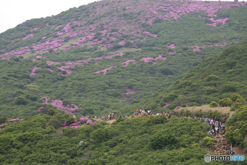 時間と体力なく頂上は断念