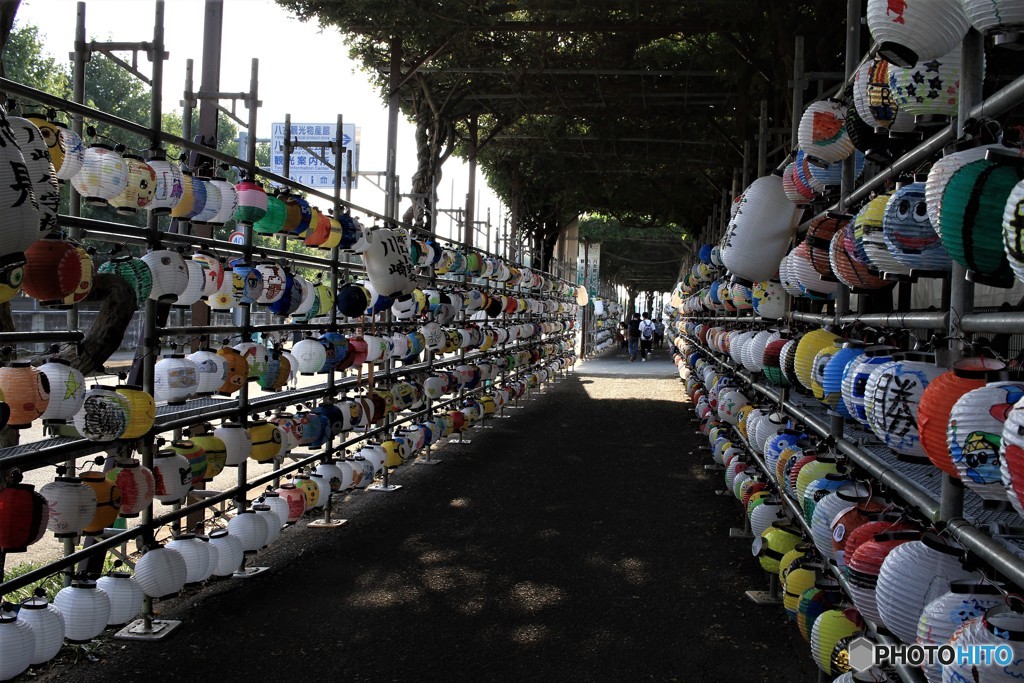 子供たちの作品