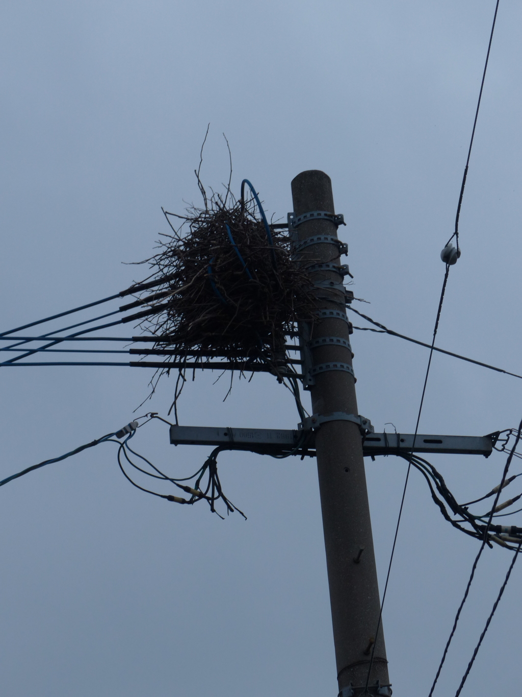 新築、戸建て、電気完備