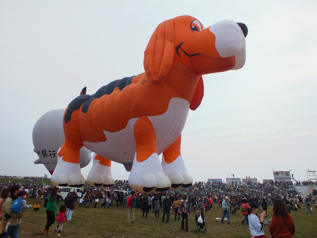 これはでかい犬