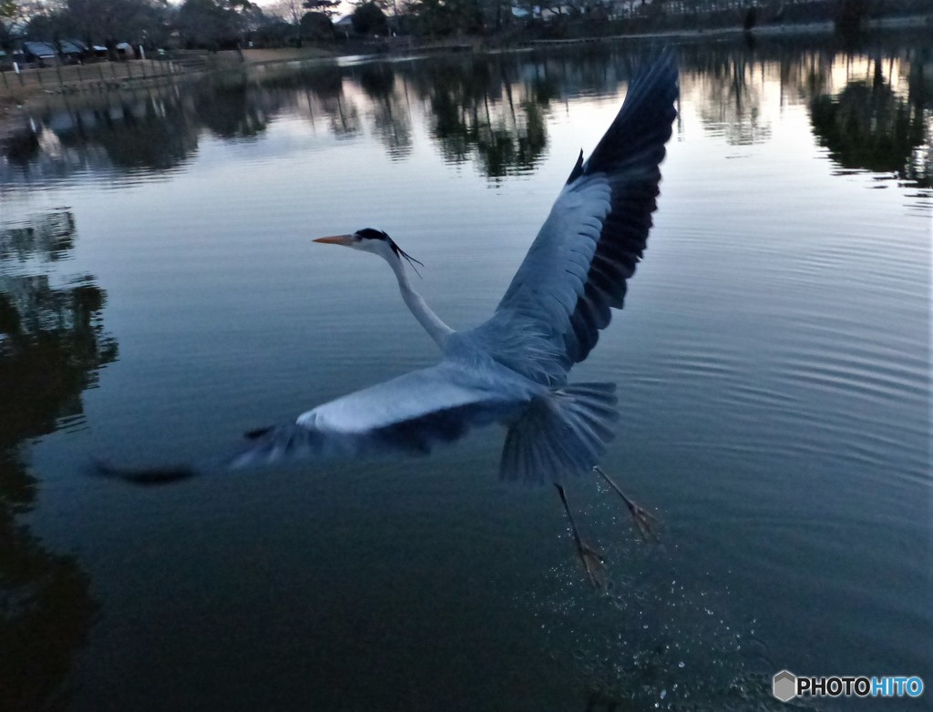 かっこいいでしょ