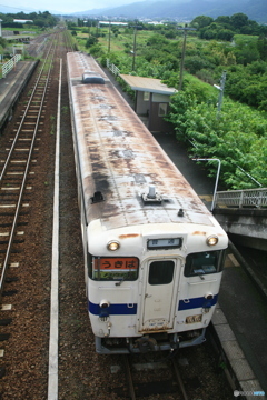 これもふるかー
