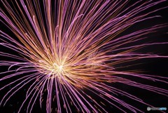 懲りずに花火で