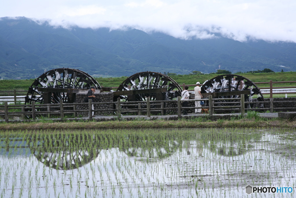 今日から動きます