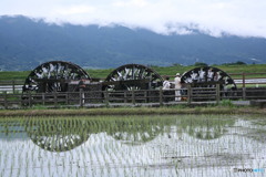 今日から動きます