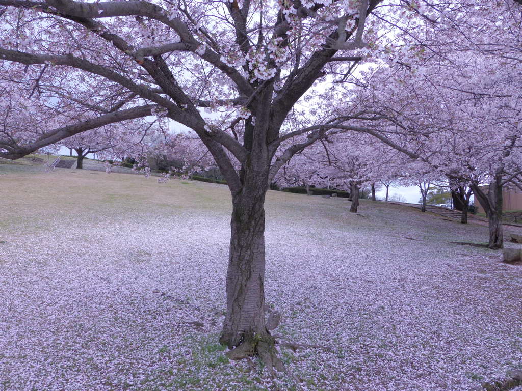 ちょっとアートに