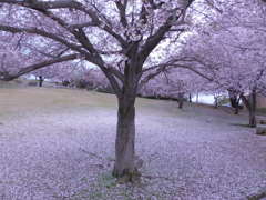 ちょっとアートに