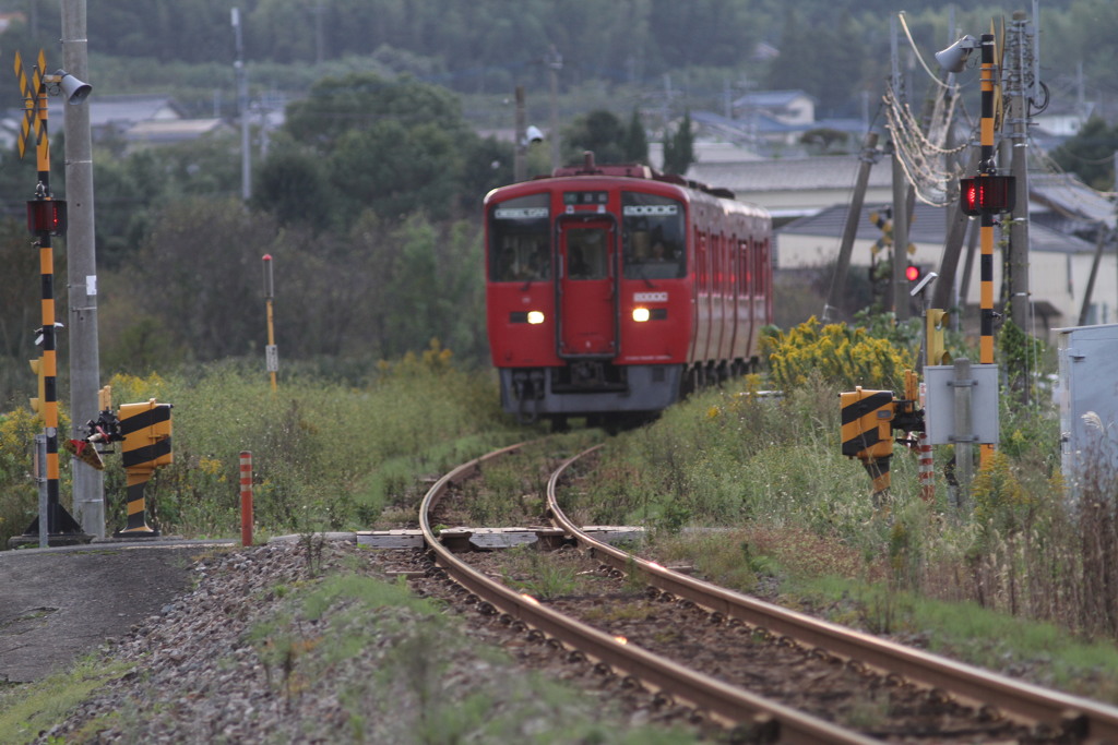 あれ、赤が来た