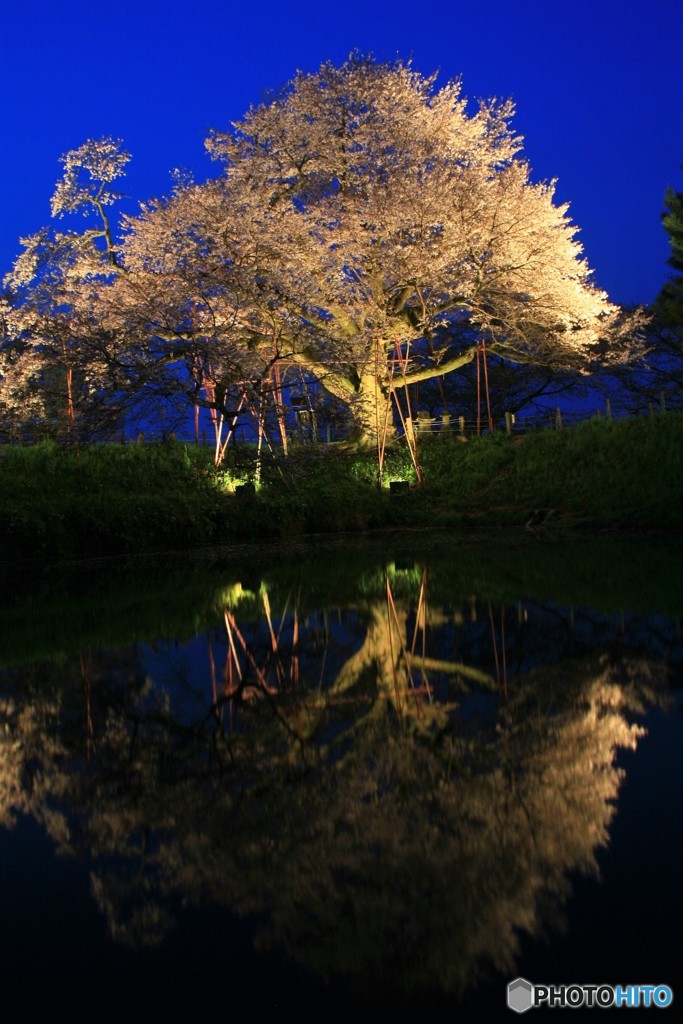 この時間がよかですね