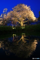 この時間がよかですね