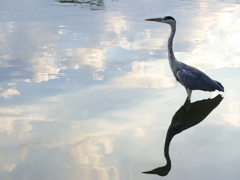何とか湖? 何とか湖?