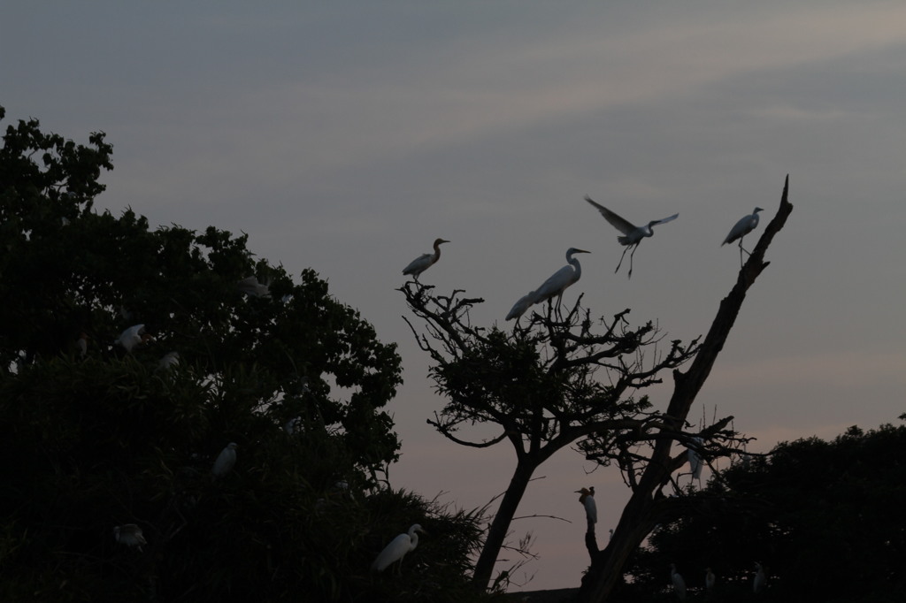 ちょっとアートに