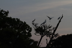 ちょっとアートに