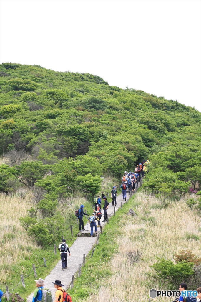 こりゃ、コリアから