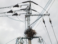 ここが好きなんです