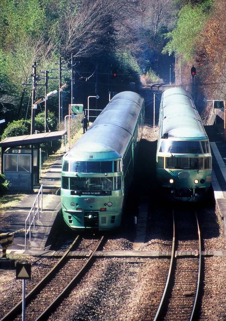 ゆふいんのもり