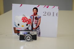 田中麗奈さんと